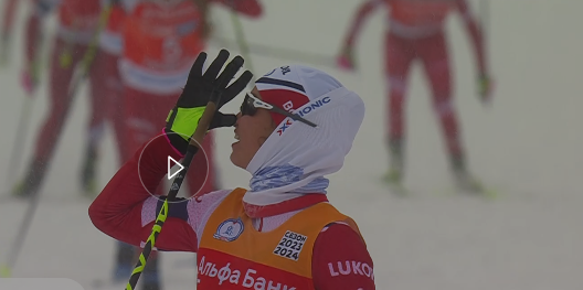 В. Степанова