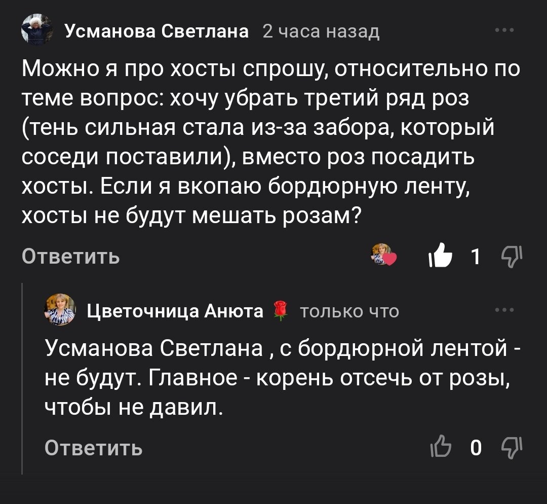 Вопросы - ответы про розы. 05.02.2024 г. Часть 176 | Цветочница Анюта 🌹 |  Дзен