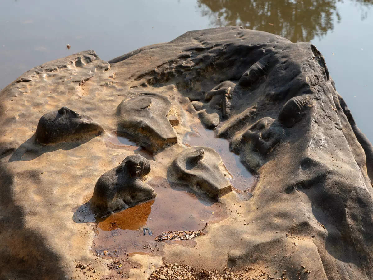 Перед каждым лингамом вырезан бык Нанди. Фото: timesofindia.indiatimes.com