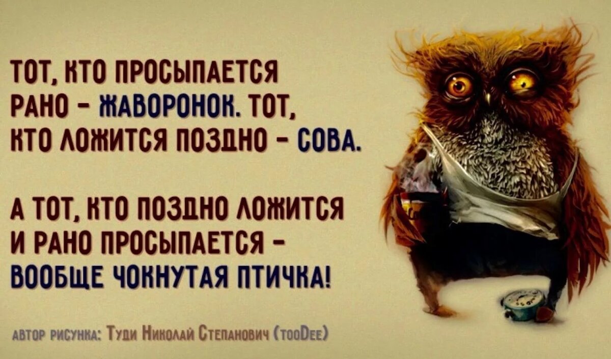в старой березовой роще поселились грачи. утро в деревне. рассвет в деревне. с раннего утра до позднего вечера. с раннего утра до позднего вечера.
