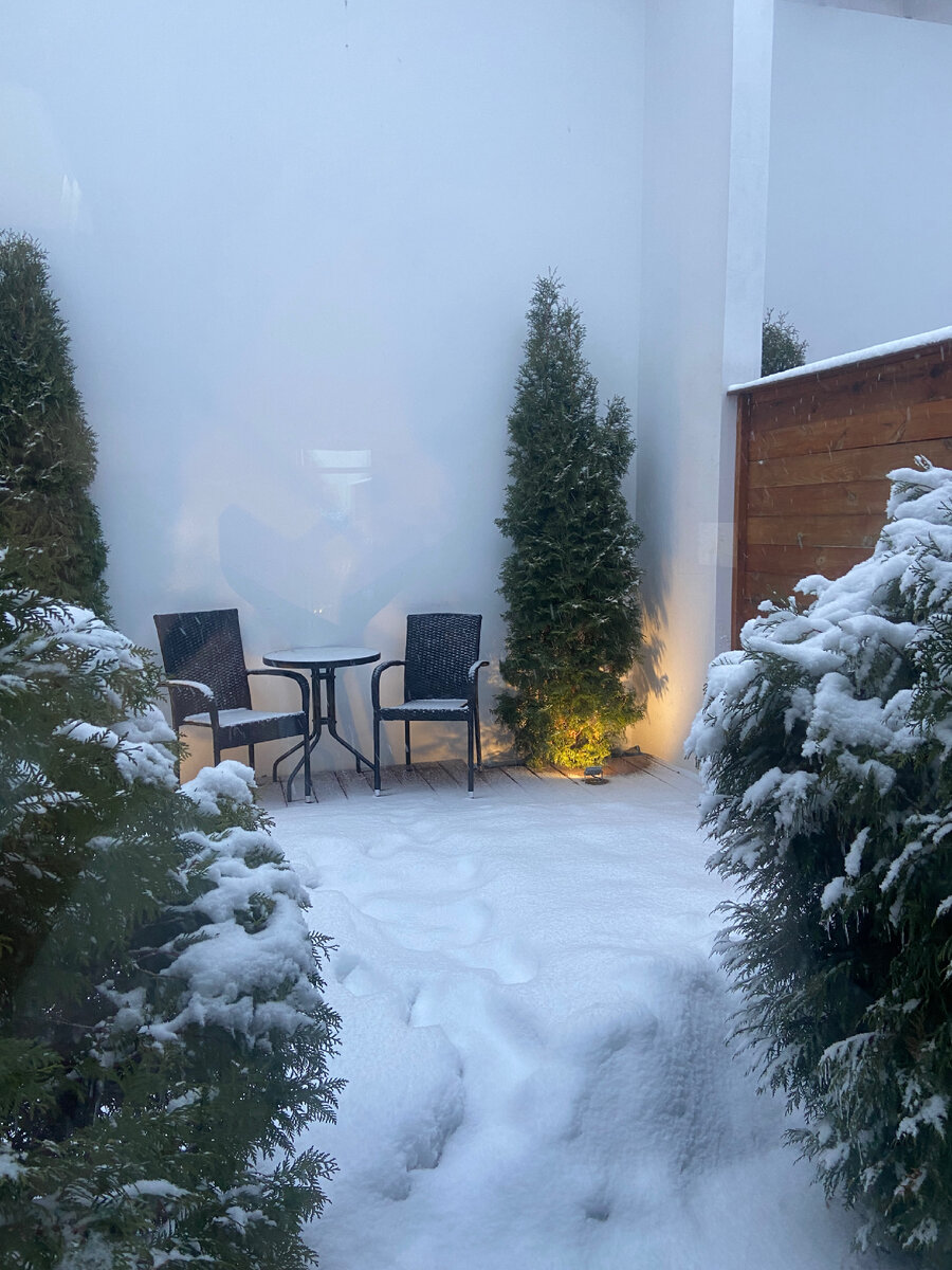 физические основы измерения температуры. термометр температурная шкала цельсия. график средней температуры за 2021. скмкя высокая температура на зе. графики среднесуточной температуры.