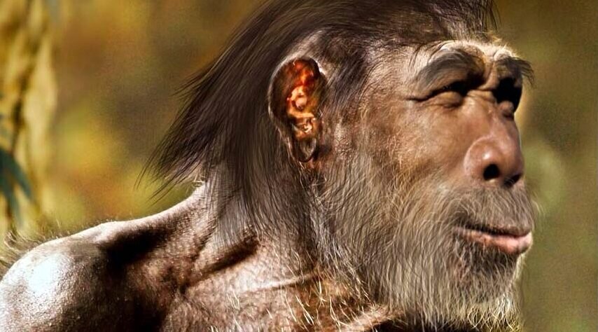 Из открытых источников. Гейдельбергский человек.