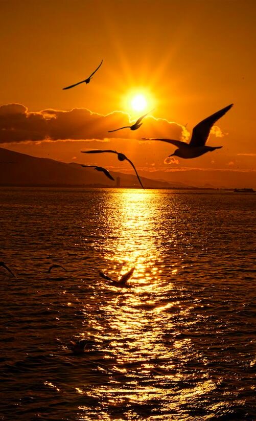 январь закат. диаграмма восхода и захода солнца. 19 января заход солнца. график продолжительности светового дня. 19 января заход солнца.