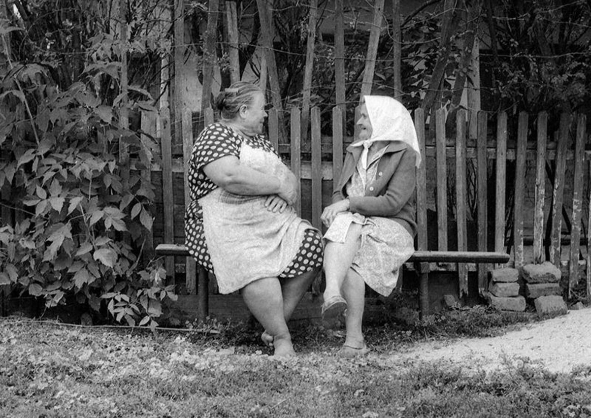 Фотография из Яндекса