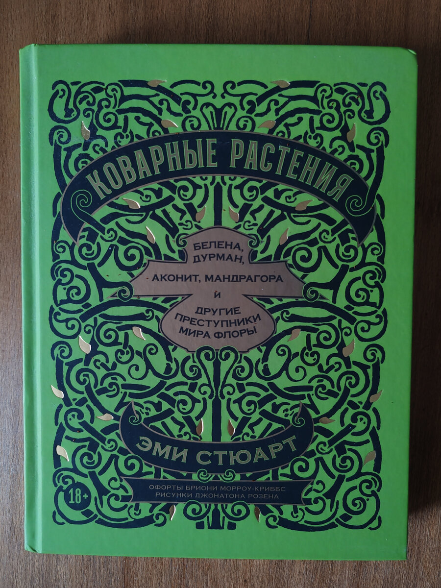 источник знания. искусство. источники знания искусства. источники знания искусства. изобразительное искусство как источник знаний.
