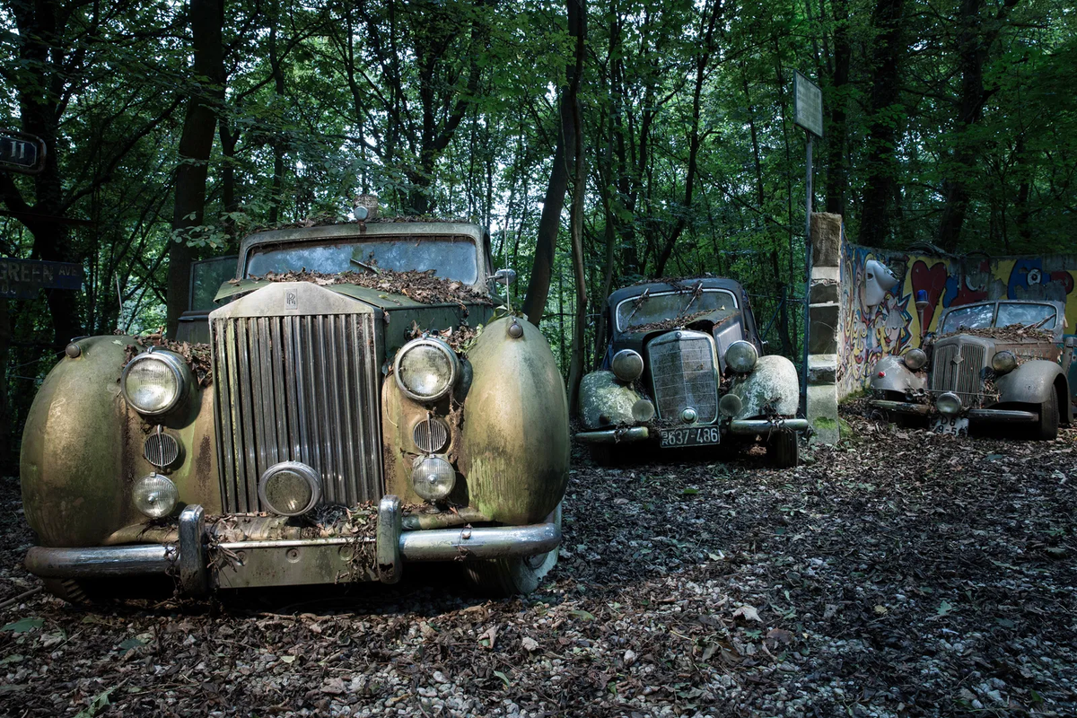 Автомобильное кладбище в долине Неандерталь: 50 старинных автомобилей, все 1950 года постройки, стоят здесь, в лесу, принадлежащем коллекционеру автомобилей и художнику Майклу Фрелих