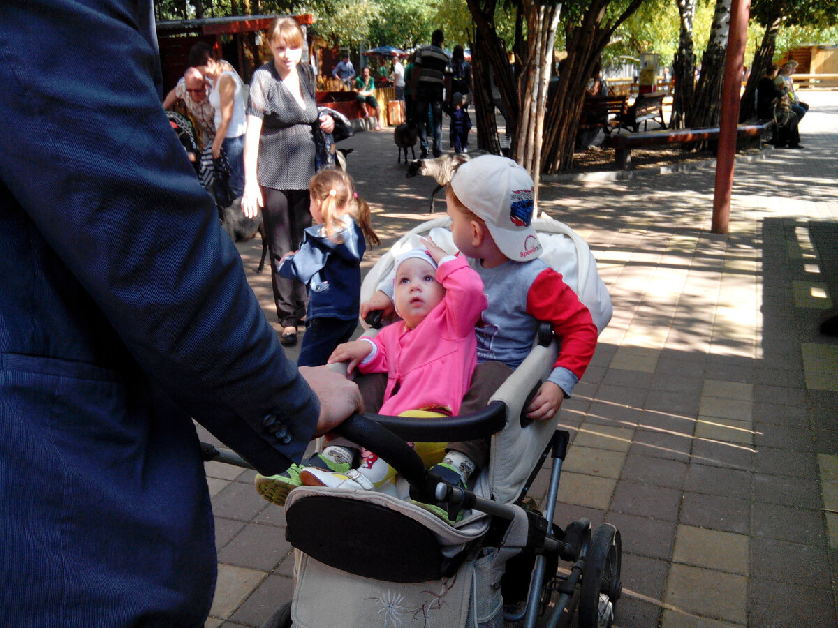 Были времена, когда в одну коляску умещались оба ребёнка... Фото сделано в 2016 году в Нижегородском зоопарке. Водитель коляски папа, фотограф мама.