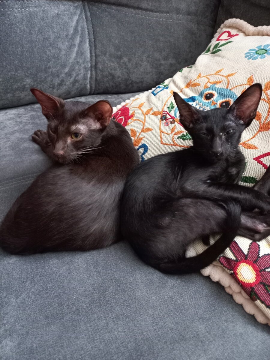 в НОЧНОМ ДОЗОРЕ)))