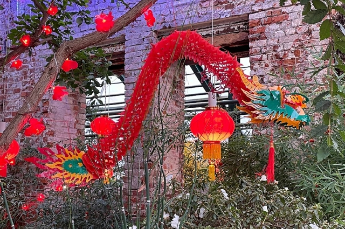    Китайский новый год в Аптекарском огороде.