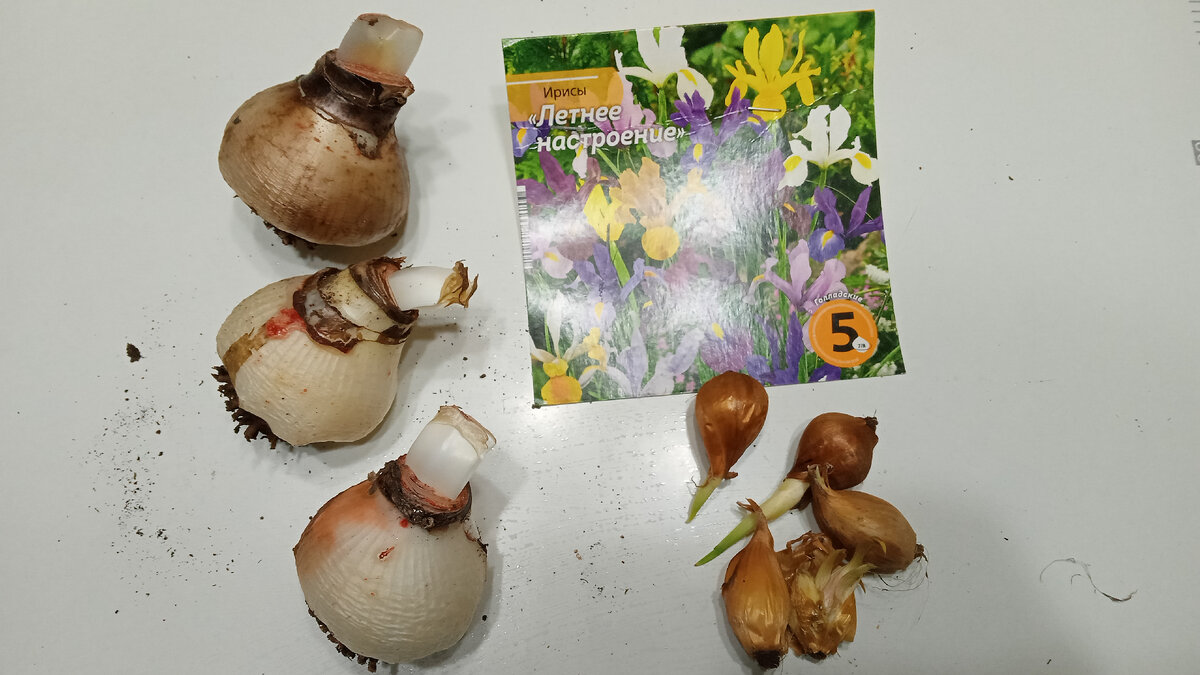 Грусть расставание тоска. Грустное расставание. Афоризмы о несбывшихся мечтах. Любовь расставание. Афоризмы о несбывшихся мечтах.