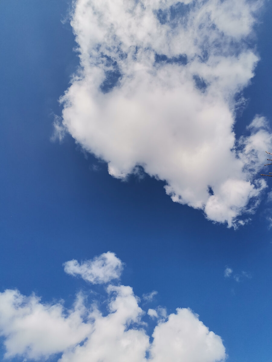 Фото автора канала "Как всё связано"