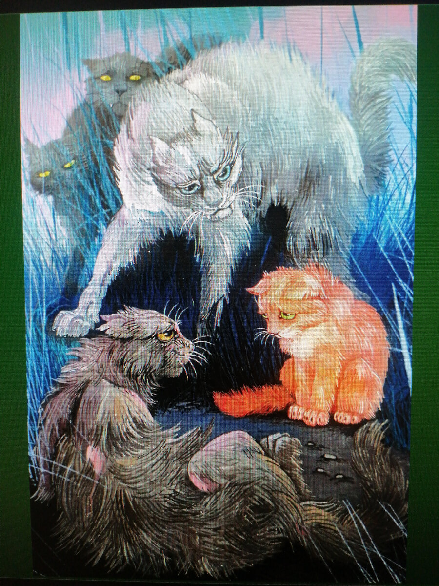 Содержание больших кошек. Содержание больших кошек