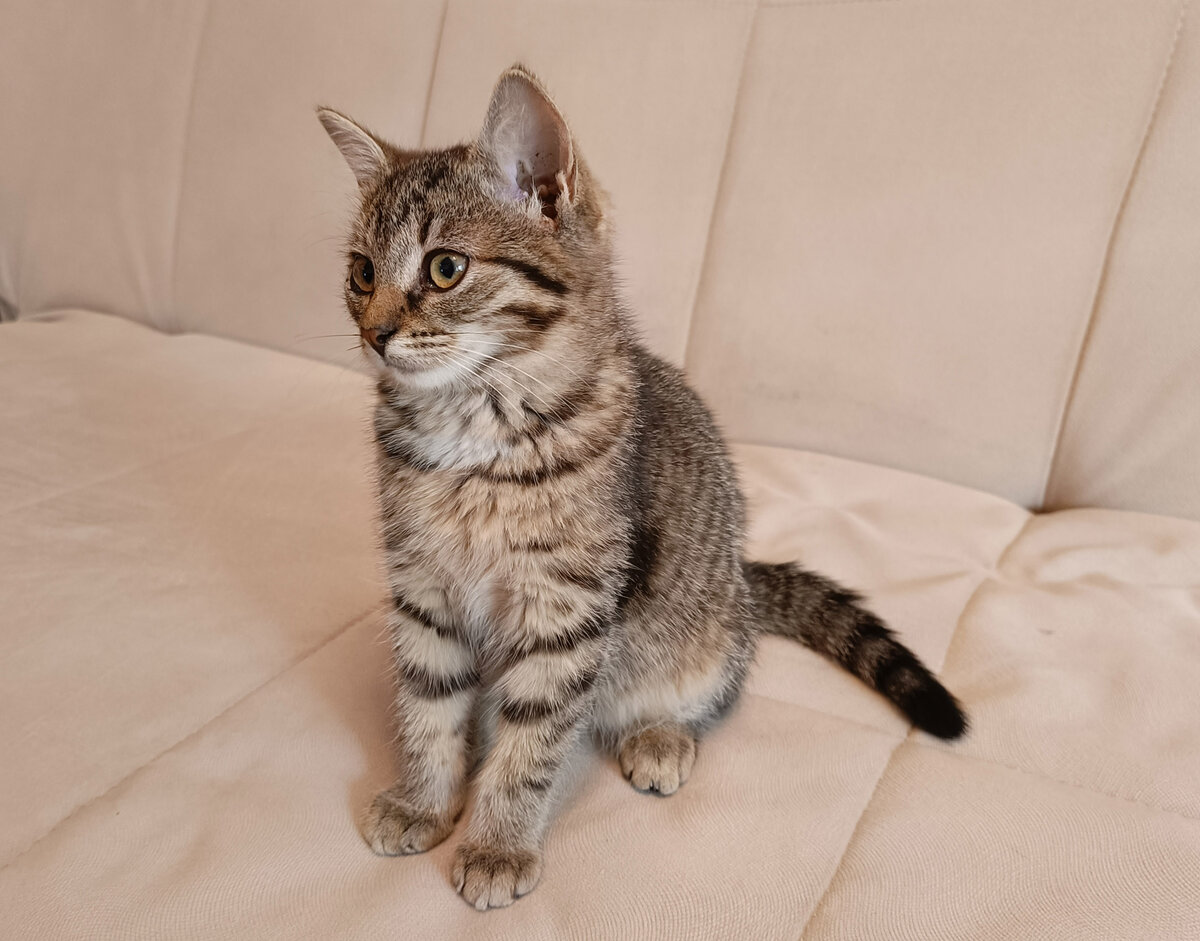 Бусинка ждет, когда ее погладят. 