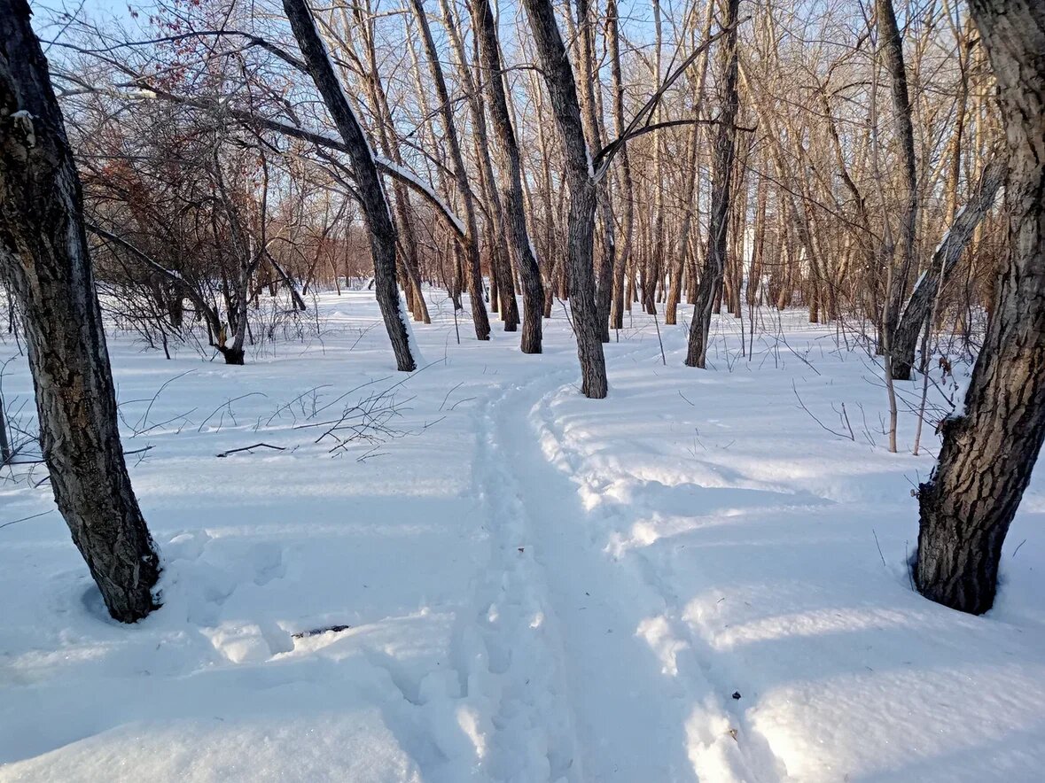 кусочек парка, ну чем не трейлранинг 