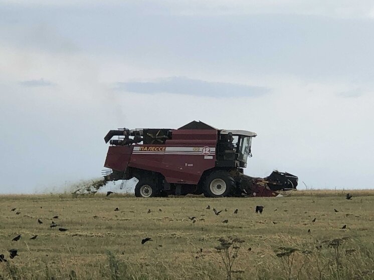 Катки полевые прикатывающие. Мтз 1523 с сеялкой. Кормоуборочный комбайн ягуар 950. Комбайн картофелеуборочный avr spirit 6200. Тимирязева.