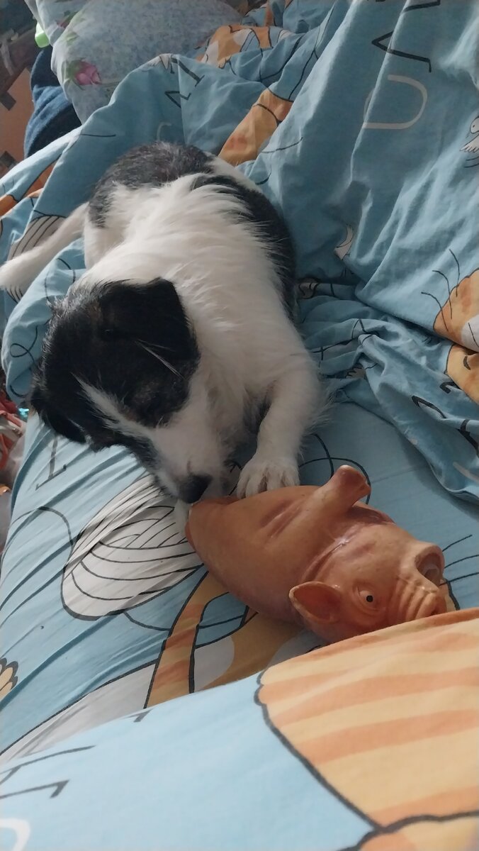 Тот чье имя нельзя произносить. Мое имя вслух произнесет. Педагогическое упражнение переводчик. Я всегда ставлю 2 будильника. Мое имя вслух произнесет.