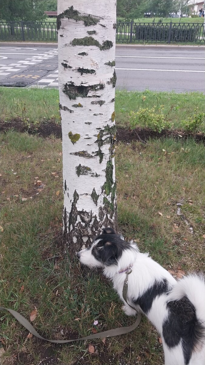 высказывания о счастье. фон маленький остров по имени счастье. счастье без имени. счастье есть. счастье без имени.