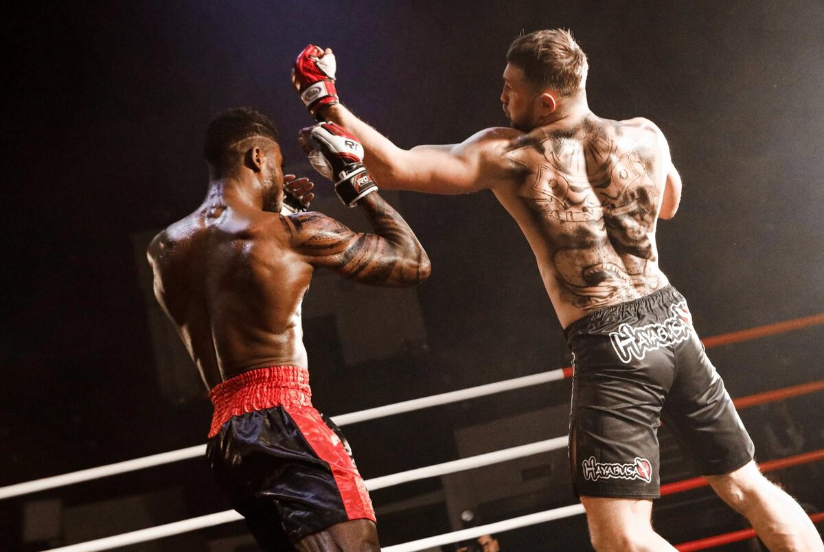     Кадр из фильма «Бультерьер»