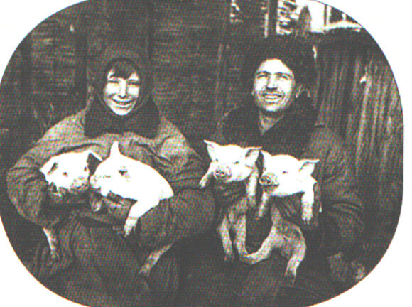 социалистическое соревнование это в истории. колхоз соревнование. колхоз соревнование. колхоз соревнование. колхоз соревнование.