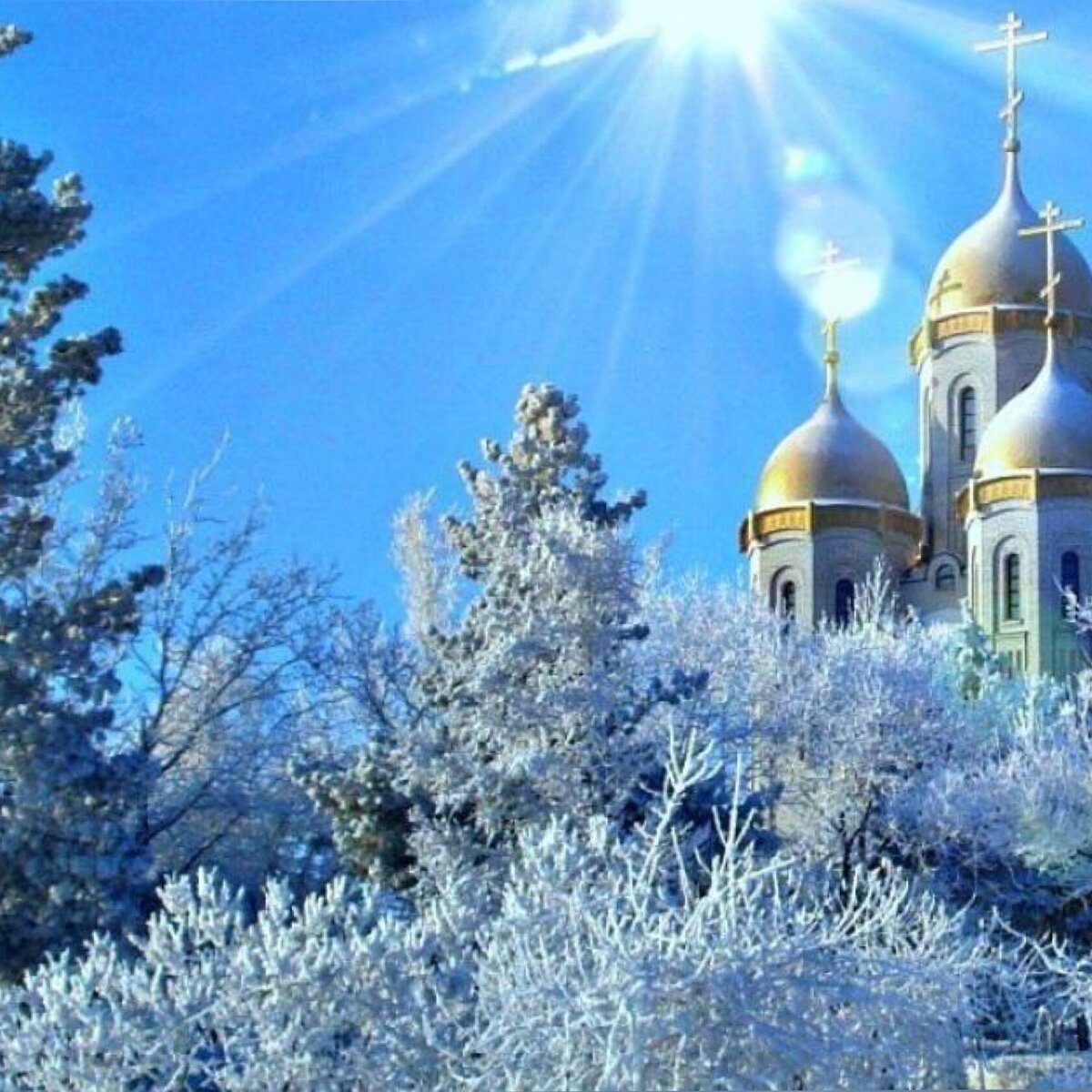 Источник: Яндекс. Картинки