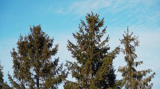деревня заимка на урале. деревня заимка. таежная заимка кемерово лесная поляна. жизнь на уральской заимке. база заимка златоуст.