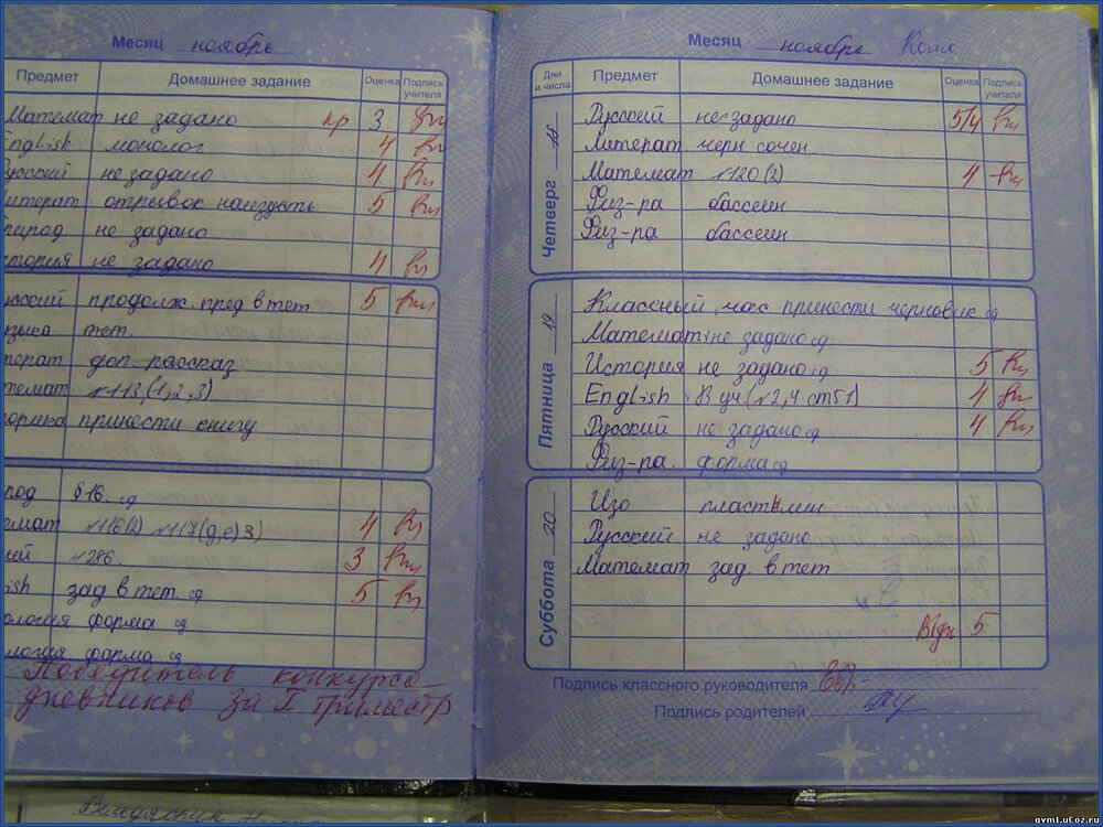 дневник 10 класс. школьный дневник с оценками. дневник с домашним заданием. дневник с оценками. домашнее задание школа 8.