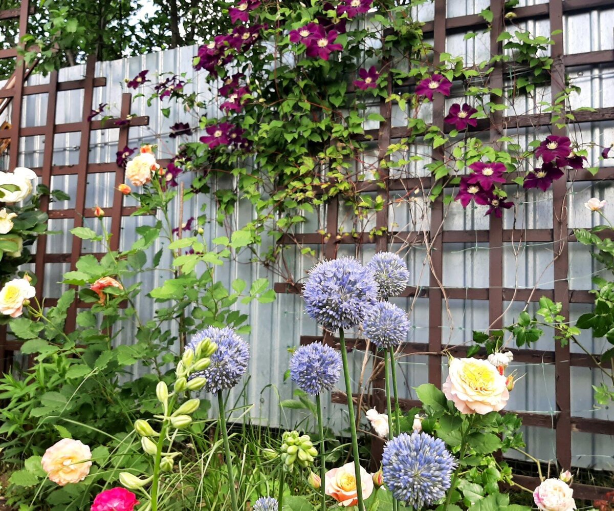 Дачи цветущий сад. Гарден хаус с террасой. Цветущая дача картинка. Самые красивые дачные участки. Цветы на дачном участке.