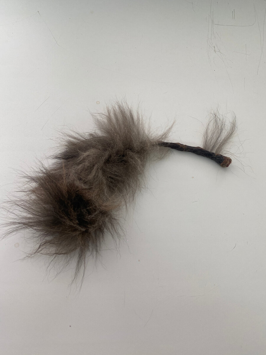 а это ее хвостик