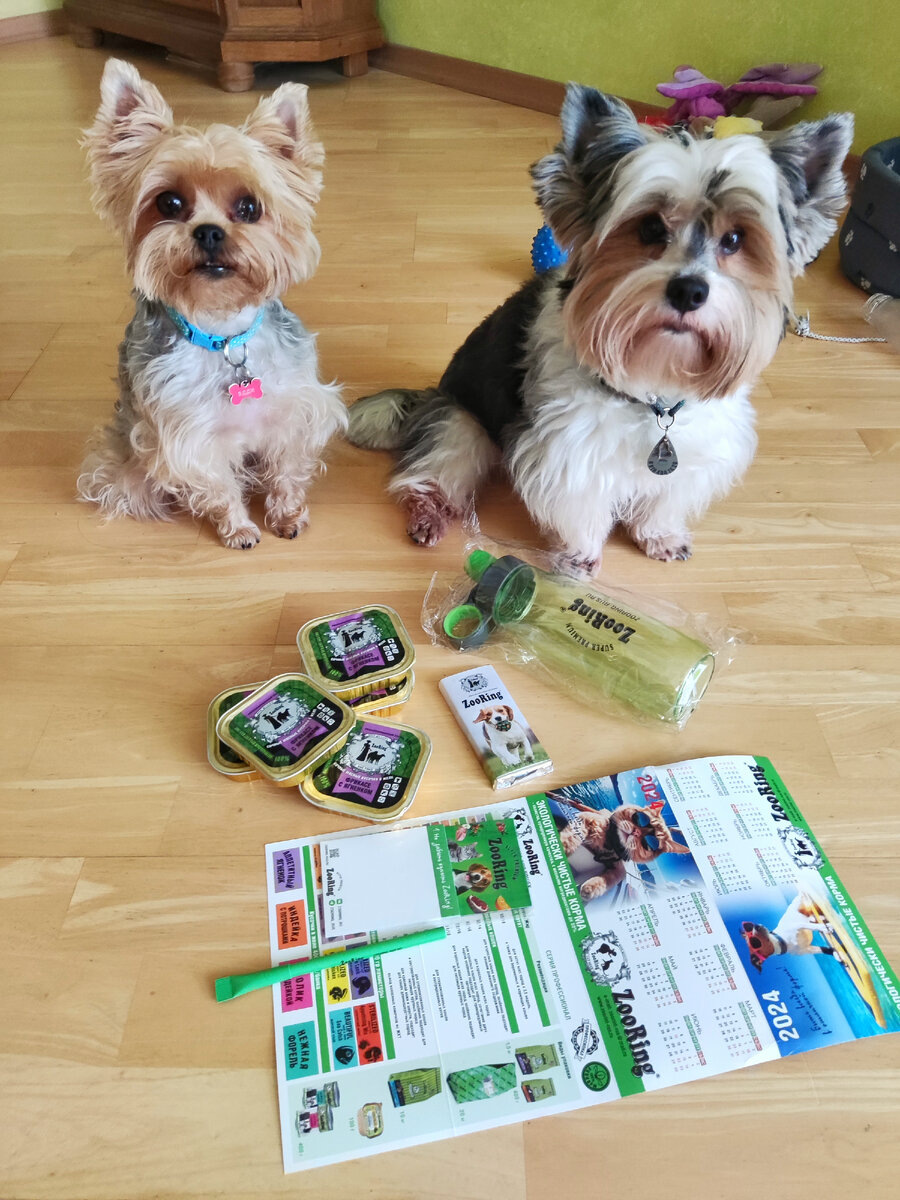 Эдди и Риччи с подарочками