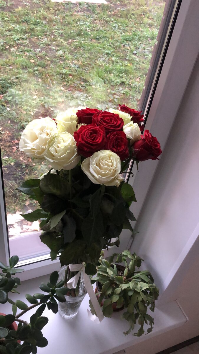 Розы 🌹 