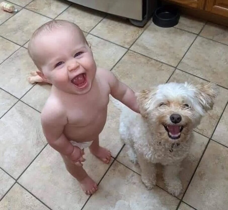 домашние животные и их дети видео. домашние животные для детей. для детей. домашние животные и их дети видео. домашние животные на ферме.