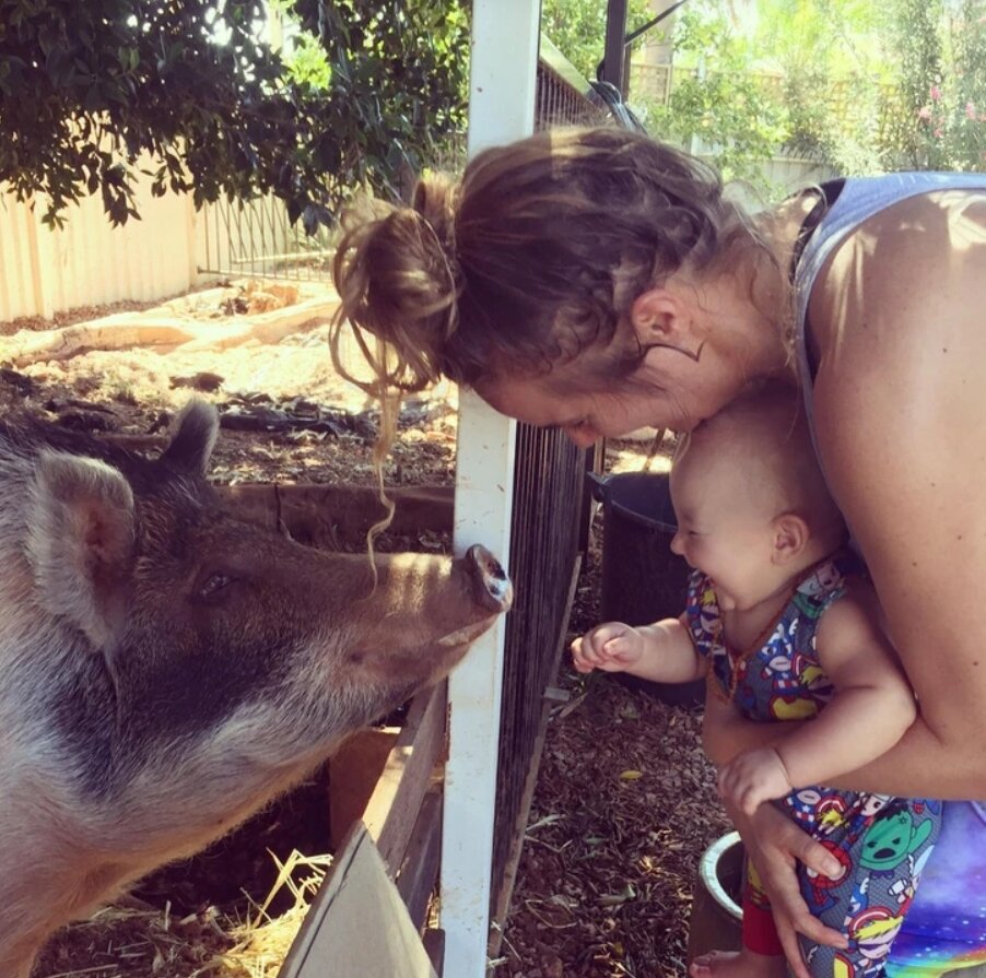 Girls like animals. Собака для детей. Maroon 5 animals обложка. Для детей. Girls like animals.