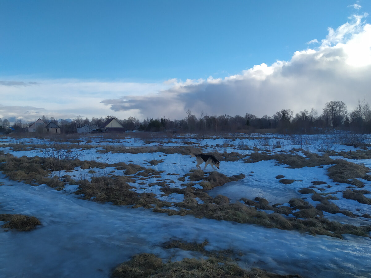 расскажите в каком порядке