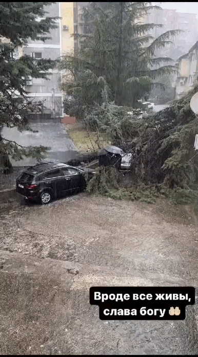 Видео: соцсети