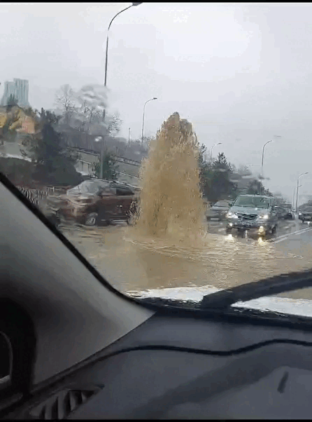 Видео: соцсети