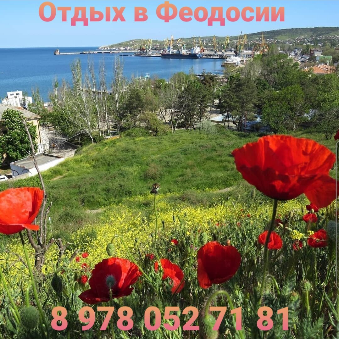 Крым отдых в Феодосии 2024 - жилье без посредников