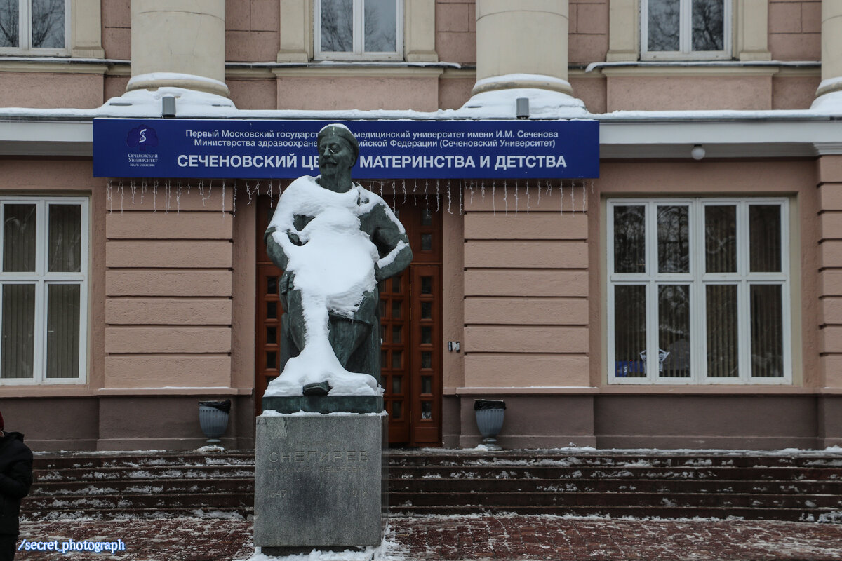 Нити снегирева железнодорожный