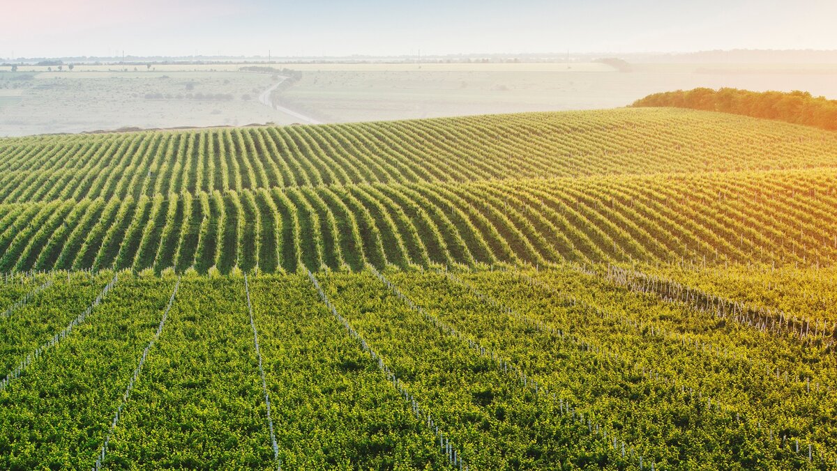 негодующий почему слитно. невежа какая прилагательные. как писать нездоровится. слова которые пишутся с не слитно. вовремя пишется слитно или раздельно.