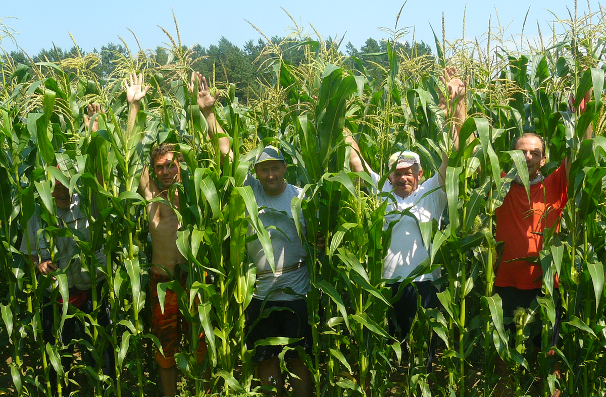 Что значит полагаться. Что значит полагаться. Что значит полагаться. Труд перетрут пословица. Что значит полагаться.