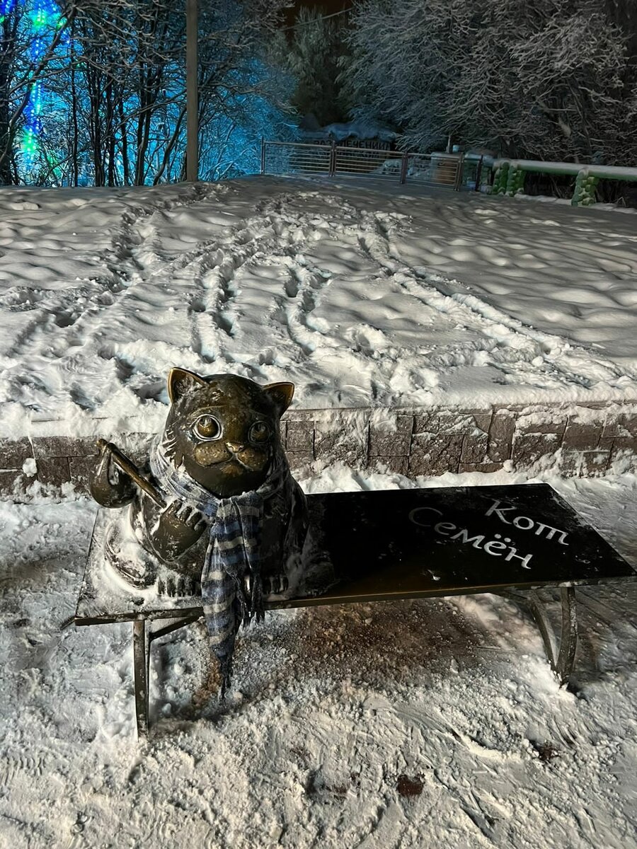 Хорошо, что шарфик ему подарили