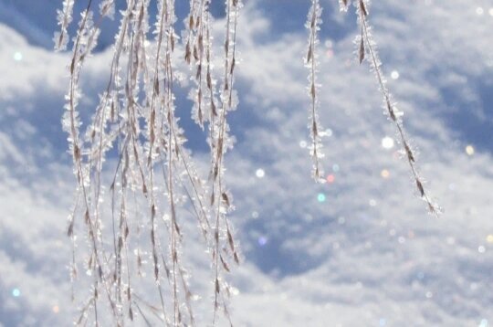 Изображение - интернет.