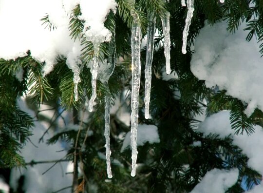 Изображение - интернет.