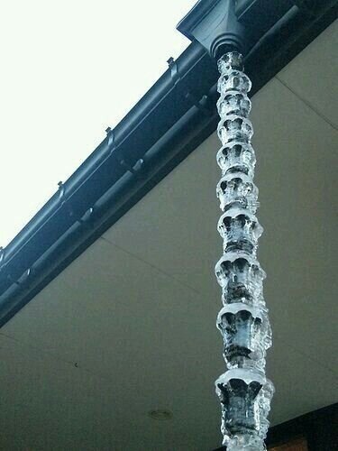 Статье мы расскажем какие. Высказывания о рском языке. Высказывания оо руском языке. Статье мы расскажем какие. Ввсказявания о руском языке.