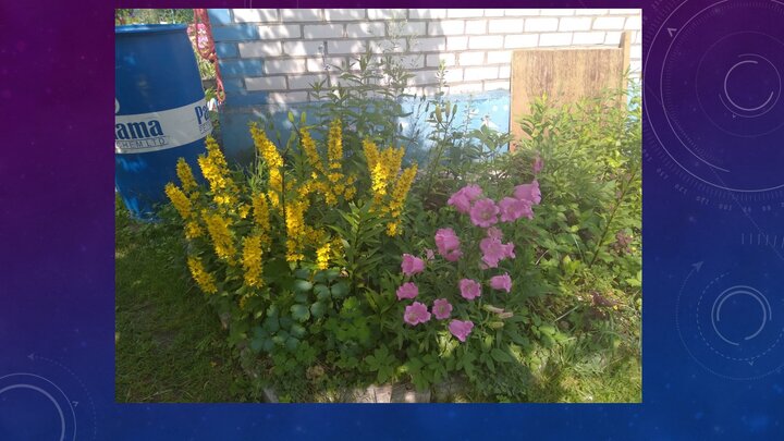 чистка системного блока от пыли. адресный приемно контрольный прибор. волгарь танк как настроить объект 268 прокачка. внутренние детали персонального компьютера. 4.