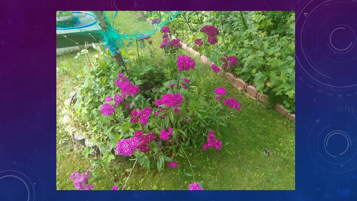 War thunder баги с пилотом. Экипаж выведен из строя. Экипаж выведен из строя. Захват точки war thunder алконафтер. Экипаж выведен из строя.