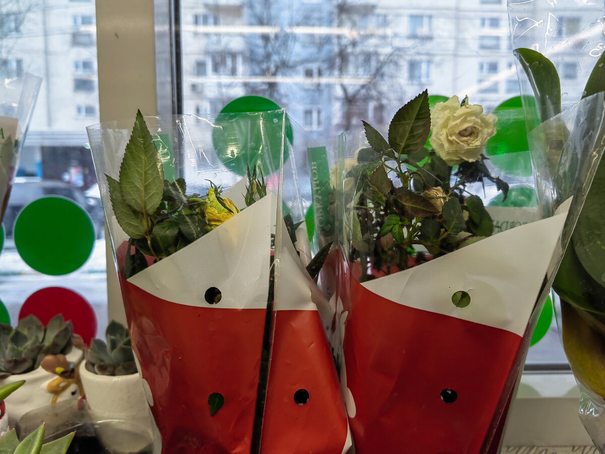 Магазин наступает на одни и те же грабли. Фото автора