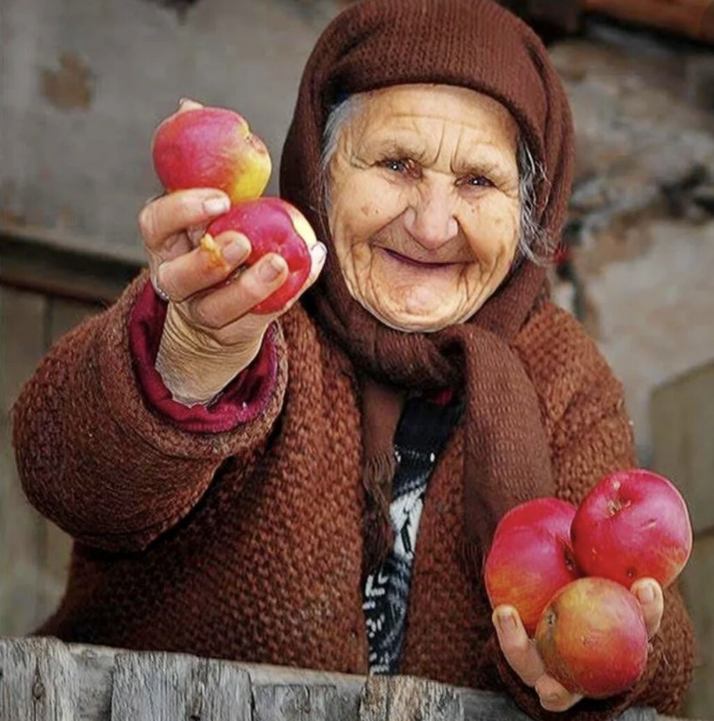 Фото взято из Яндекс картинки