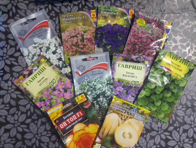 Семена которые я посеяла 4 февраля 2024 г.