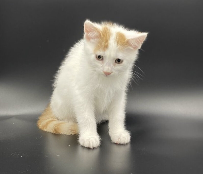 Мартин очень скучает 