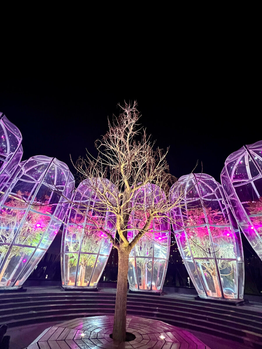 Фото из личного архива. Парк Краснодар.